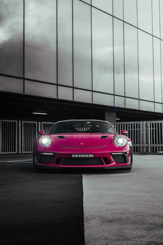 Bold Beauty: The Pink P..