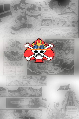 The Legacy of Portgas D..