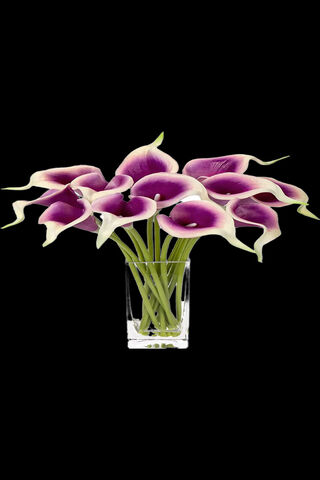 Elegant Calla Lily Bouquet 🌸✨