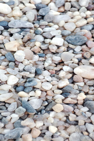 Nature's Tiny Treasures..