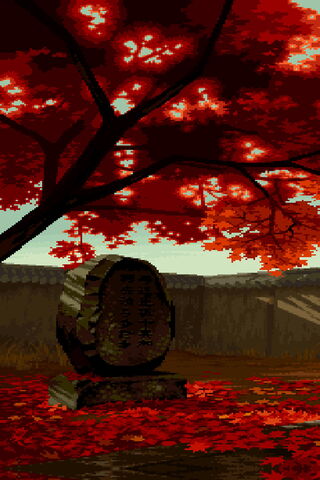 Autumn Serenity 🍂