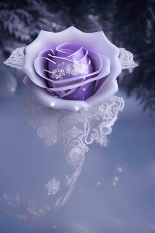 Enchanted Elegance: The Purple Lace Rose 🌹✨