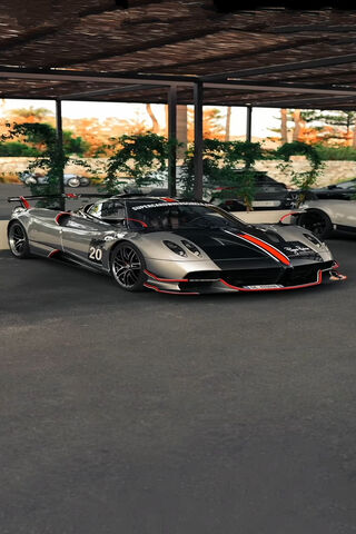 Sleek Speedster: The Pa..