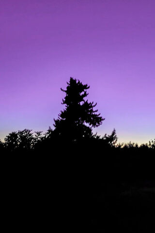 Enchanted Twilight 🌌