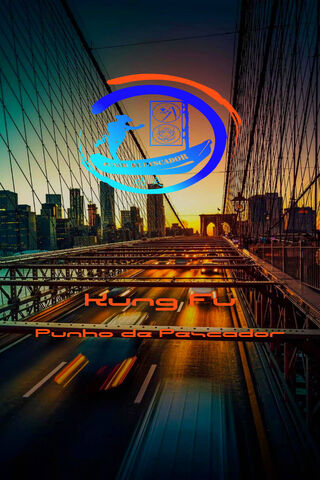 Kung Fu on the Bridge �..