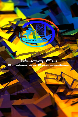 Vibrant Kung Fu Energy ..