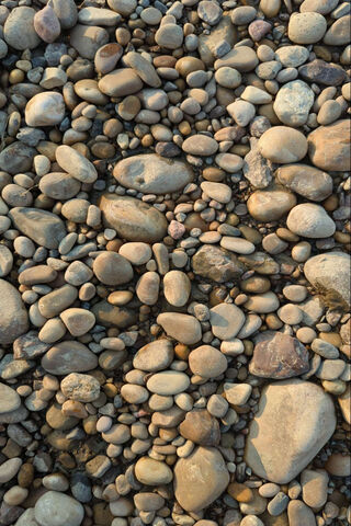 Nature's Mosaic: A Pebb..