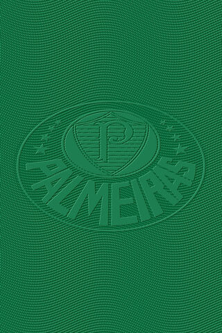 Palmeiras Pride 🌟