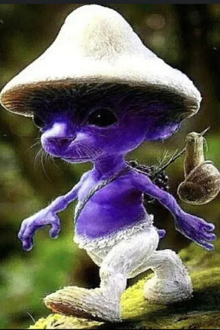 Enchanted Forest Wanderer 🍄✨
