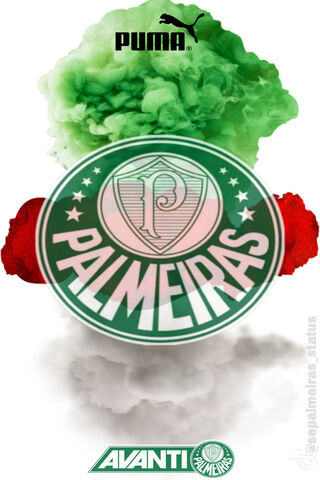 PALMEIRAS WALLPAPER