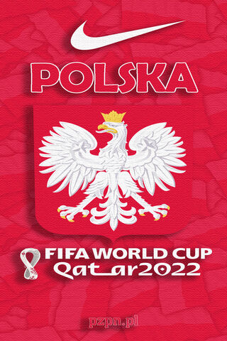 Poland's Pride at the World Cup 🇵🇱⚽
