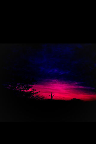 Enchanted Twilight 🌌