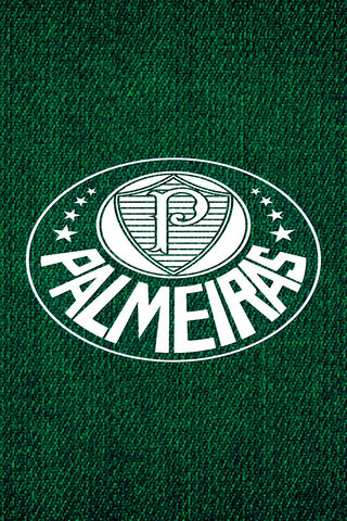Palmeiras Logo on Green Background 🌿⚽
