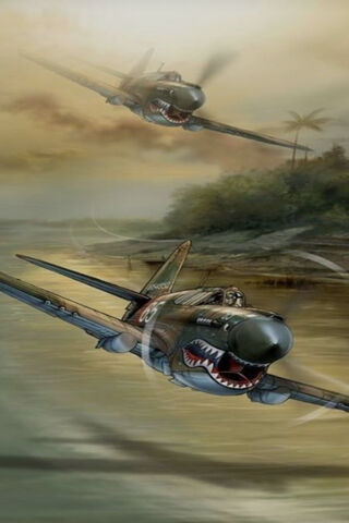 Fierce Skies: The Flyin..