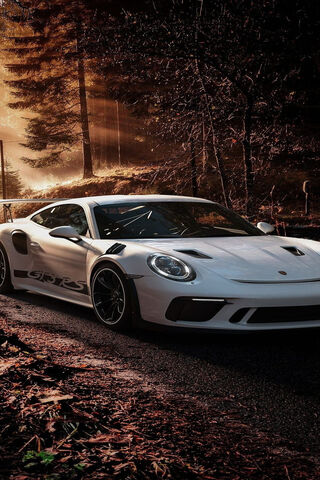 Sleek Power: The Porsch..