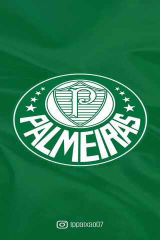 Palmeiras Pride 🌟