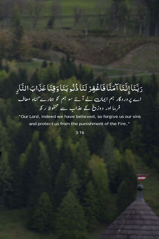 Divine Guidance in Natu..