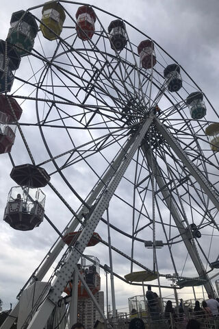 🎡 A Day at the Fair: The Ferris Wheel Adventure
