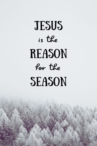 REASON FOR THE SEASON