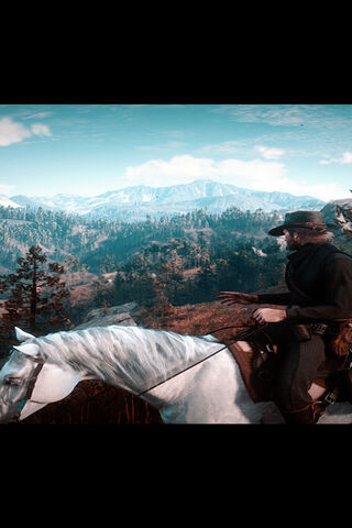 Adventurer in the Wild 🌄🐴