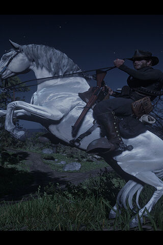 Majestic Ride Under the Stars 🌌🐎