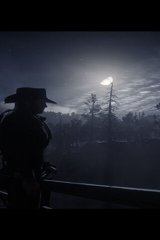 Moonlit Vigilante 🌙🤠