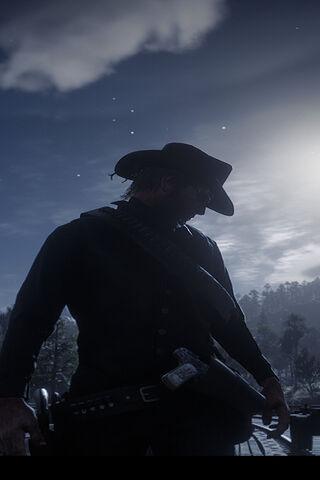 The Lone Gunslinger 🌌🤠