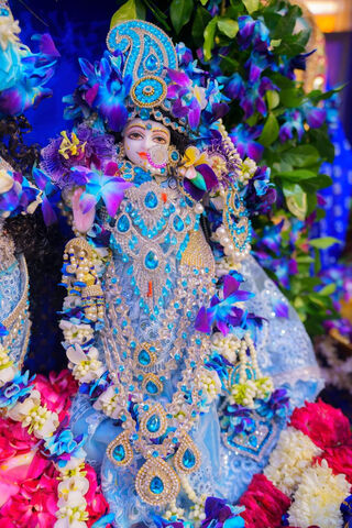 Divine Elegance: The Enchanting Idol of Krishna ✨