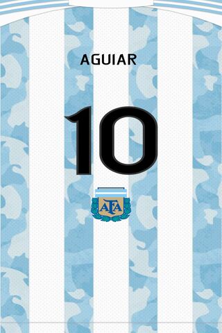 Remera De Argentina