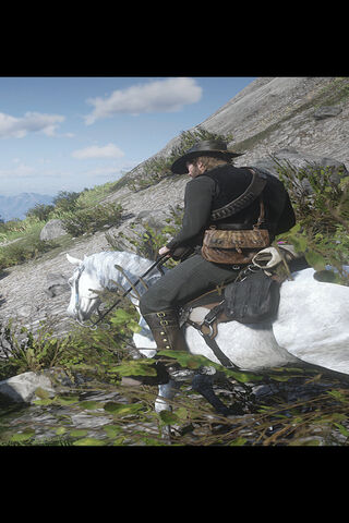 Riding Through the Wild 🌄🐎