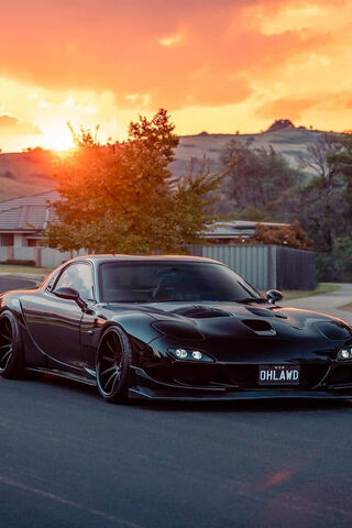 Sleek Black Beauty at S..