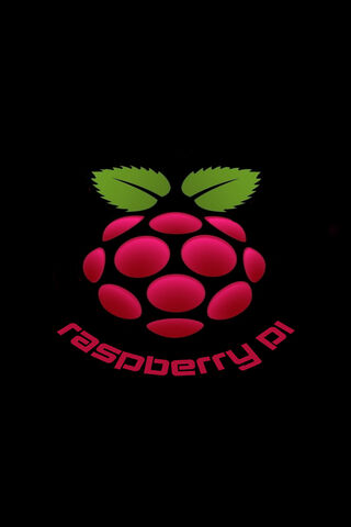 Raspberry Pi 2023