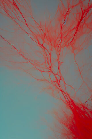 Red Veins