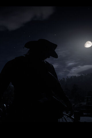 Moonlit Cowboy Adventure 🌙🤠
