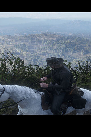 Adventurous Ride Through the Wilderness 🌲🐎