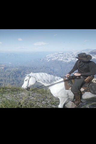 Adventurer on the Edge 🌄🐎