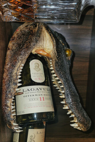 Whiskey with a Bite! 🐊🥃