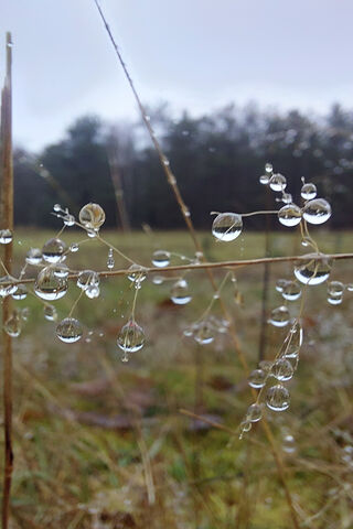 Nature's Crystal Orbs: ..