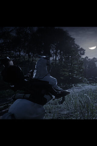 Moonlit Ride 🌙🐴