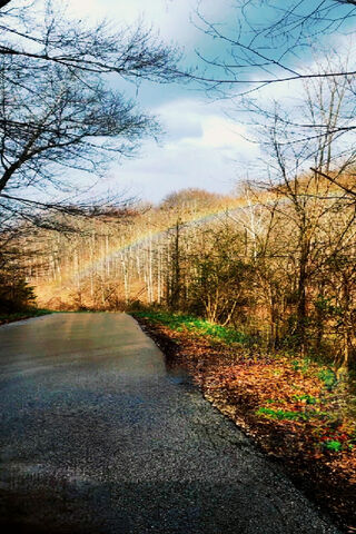 Serene Road to Nature �..