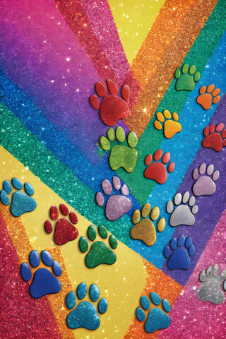 Rainbow Paw Prints On Matching Rainbow Stripes