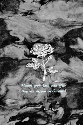 Resilience Blooms 🌹