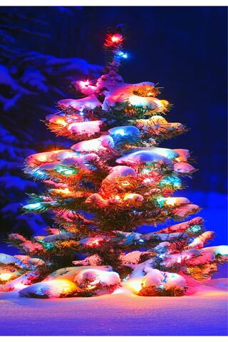 Magical Winter Wonderla..