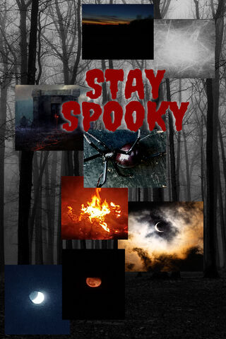 Stay Spooky! 🎃👻