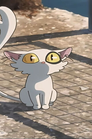 Curious Little Cat 🐾✨