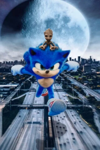 Sonic Run