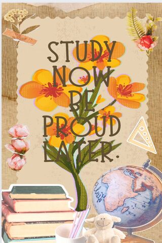 Study Now, Shine Later!..