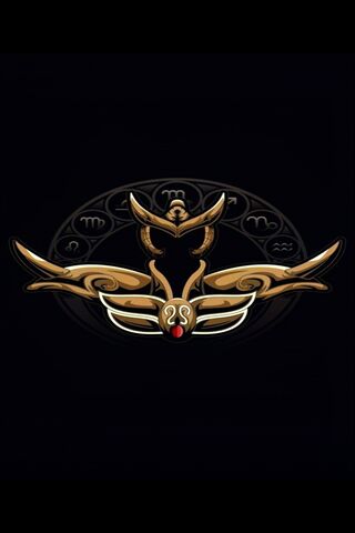 Mystical Emblem of the Zodiac ✨