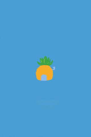 🍍 A Cozy Pineapple Home!
