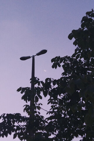 Serene Twilight 🌙